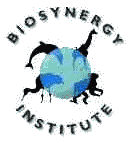 Biosynergy Logo