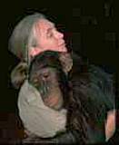 jane goodall and chimp